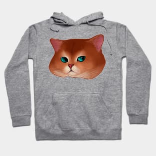 T-shirt cat muzzle Hoodie